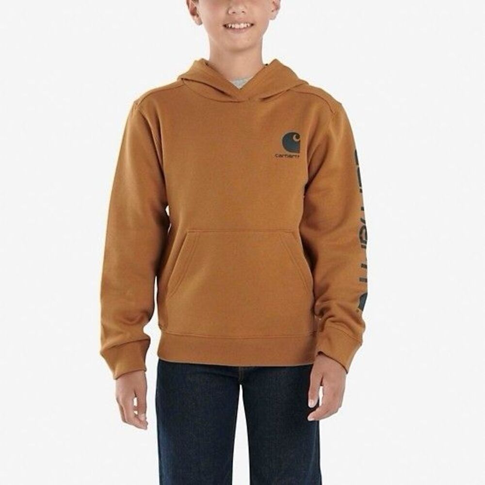 Carhartt Youth Boys Graphic Pullover Hoodie Fleece Long Sleeve, Size L (14-16)